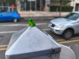 Tiny Frog on Metal Pyramid