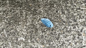 Alien Pod